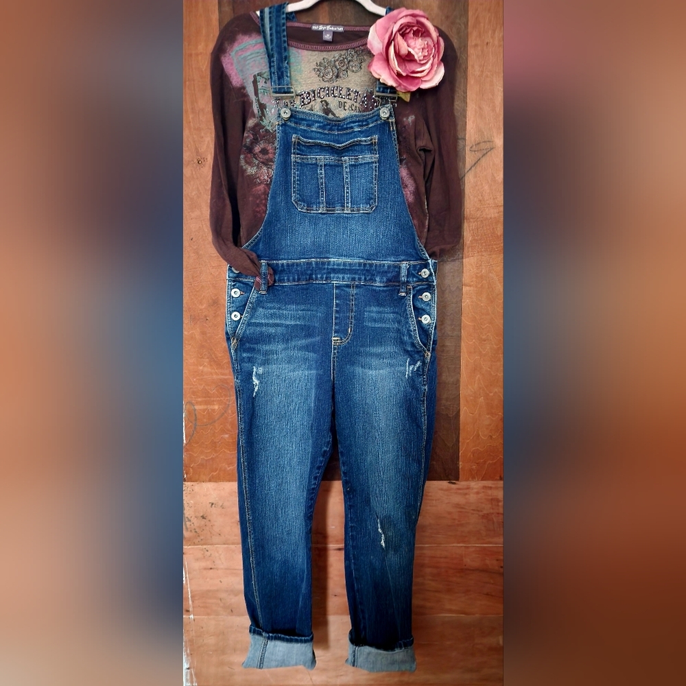 Torrid overalls
